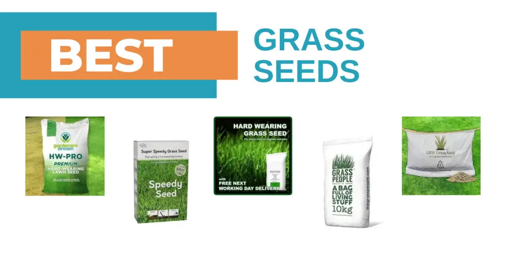grass seeds collage