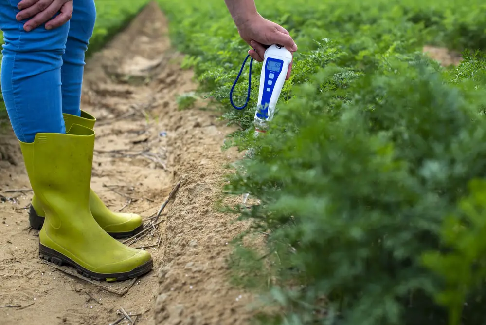 A farmer uses a digital device to measure the pH level.