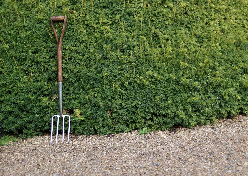 A gardening tool on backyard
