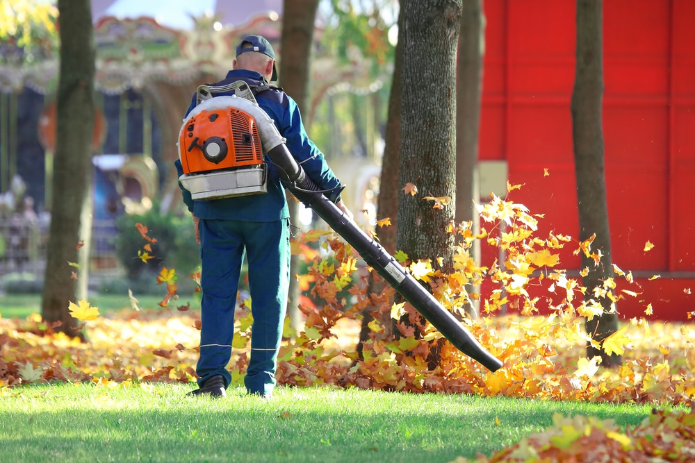 A man removes fallen leaves from the grass