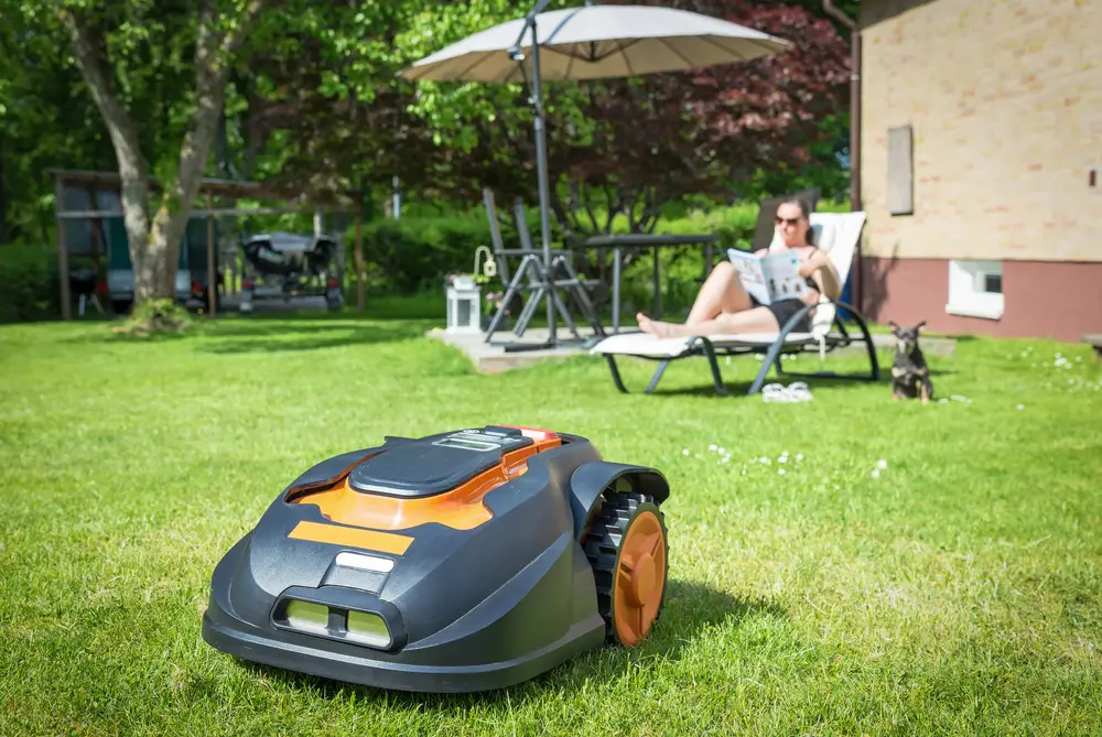 A mowing equipment in the garden