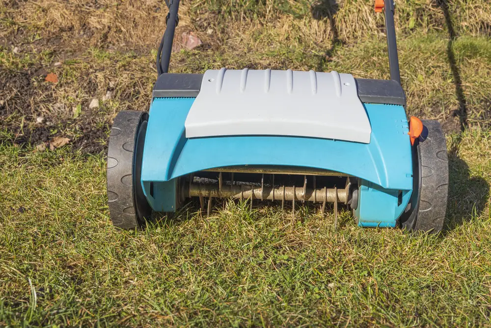 Close up view of an electric garden equipment on green grass