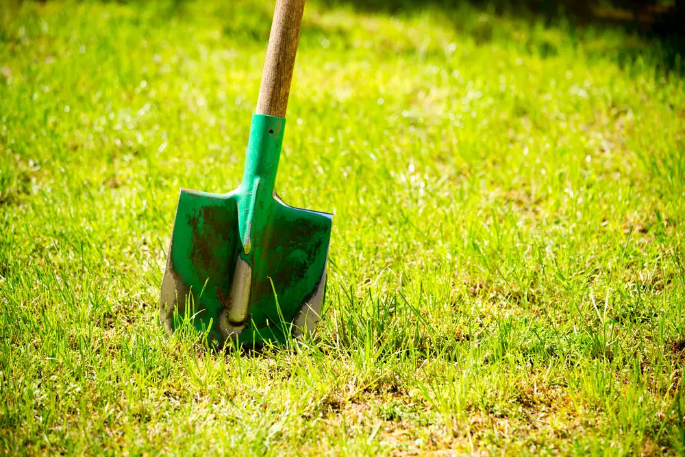 Gardening tool on green grass
