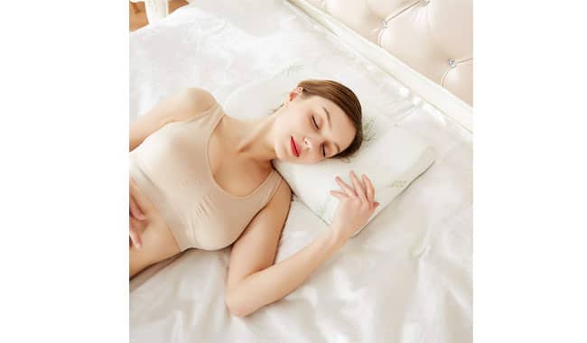Homely Lee contour pillow