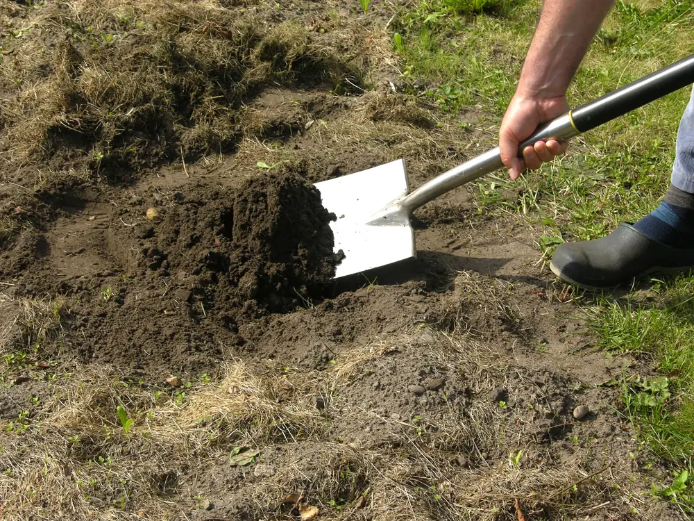 Man doing work in the backyard