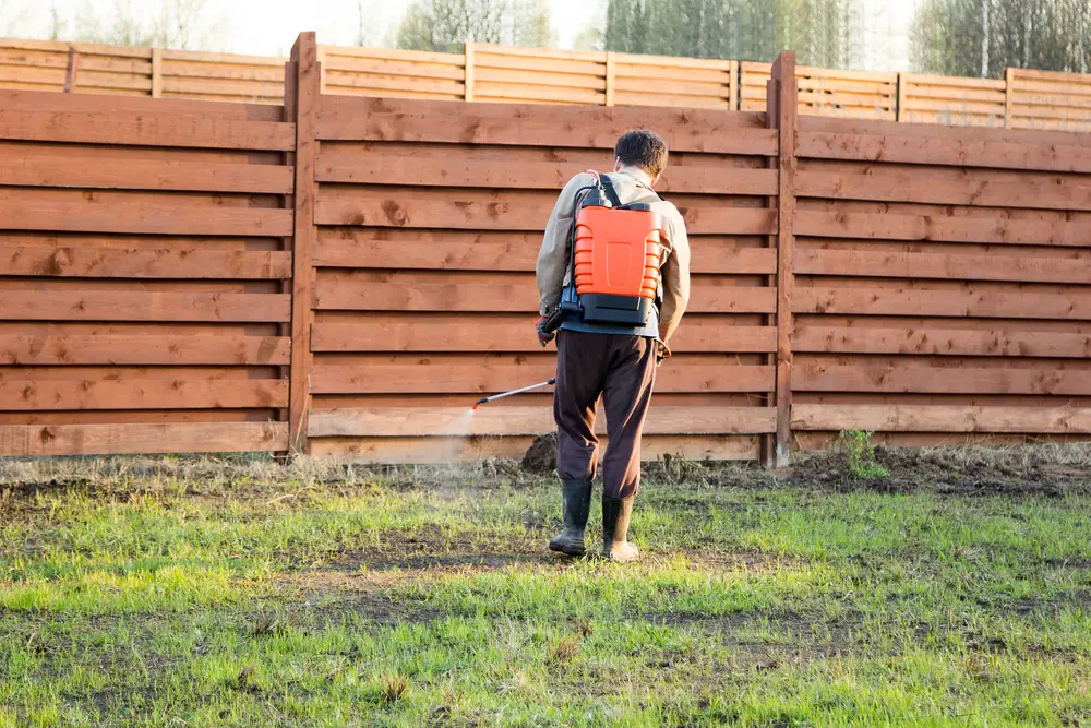 Man sprays grass with herbicide