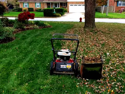 Removing fallen leaves in the yard