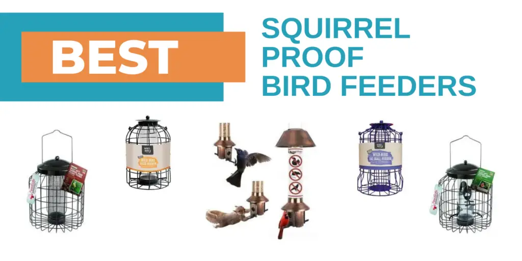 squirrel proof bird feeders collage