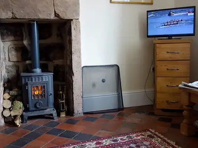 warm living room with a log burner and TV