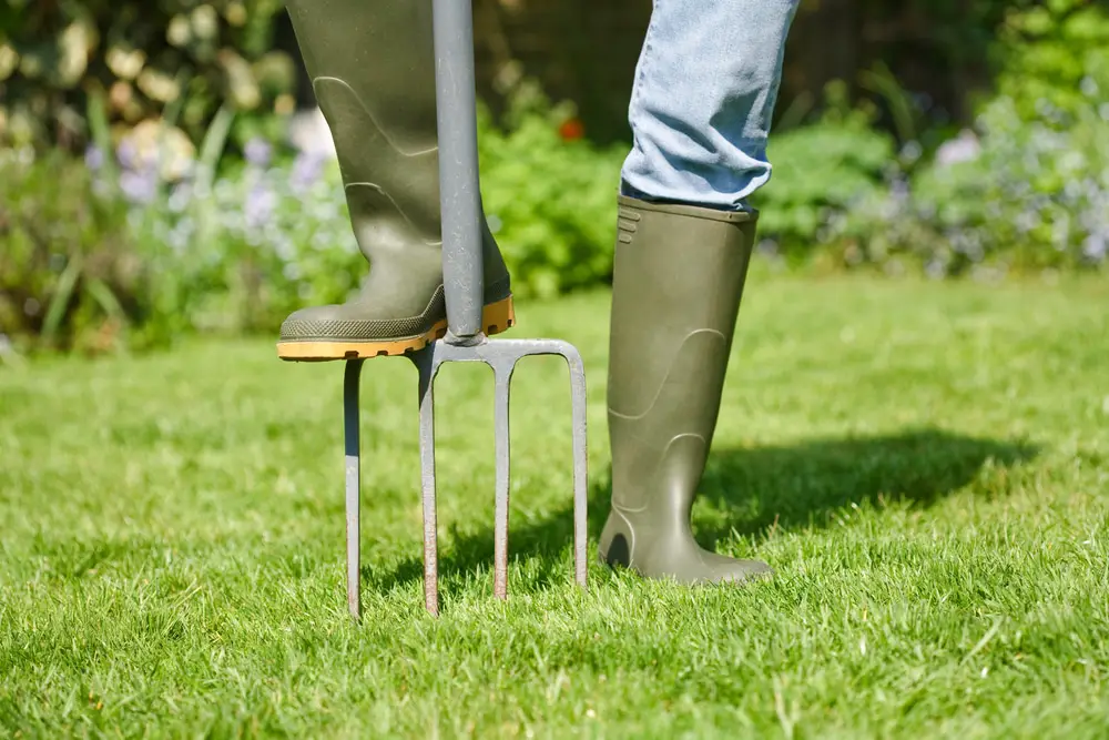 How to Aerate Your Lawn With a Garden Fork