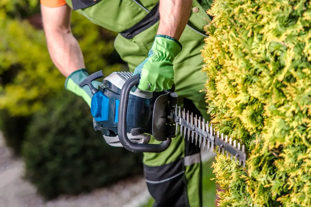 how to use a hedge trimmer