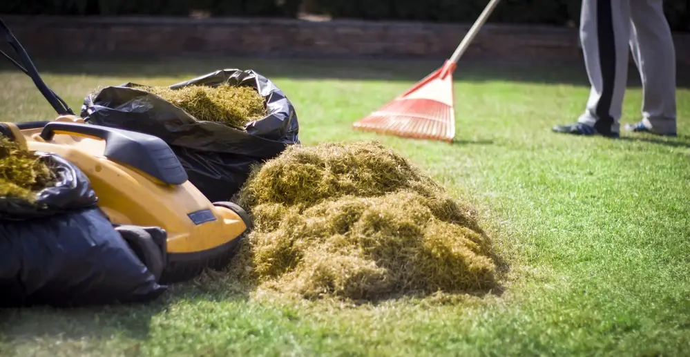 what is the difference between a lawn rake and a lawn scarifier