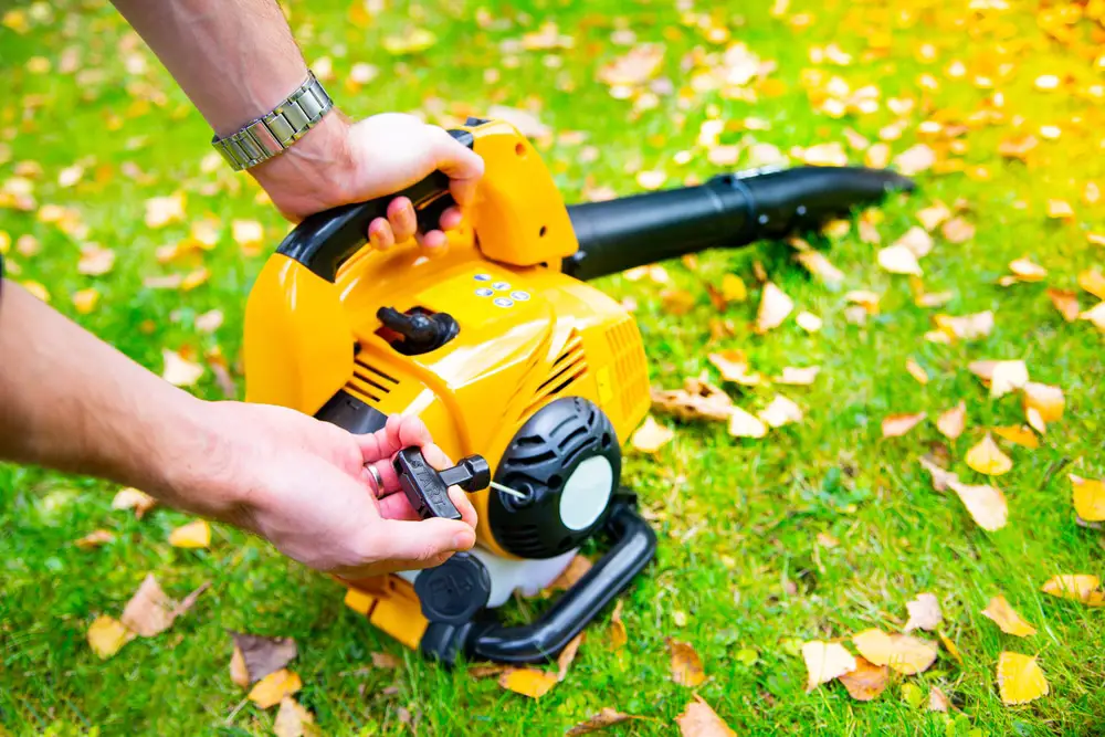 How to Use a Garden Vacuum