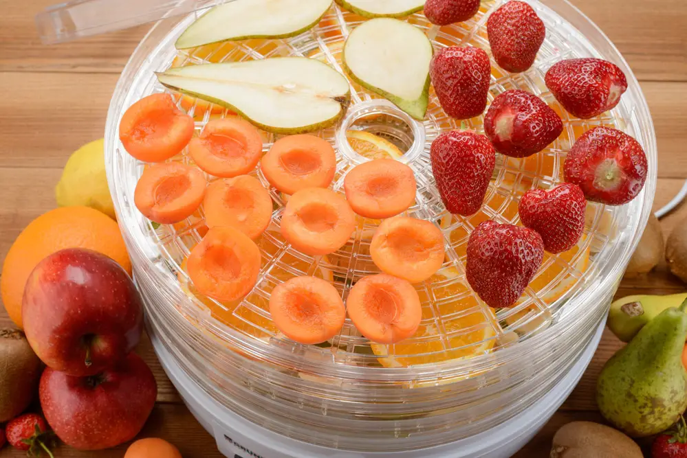 What Can You Put In a Food Dehydrator