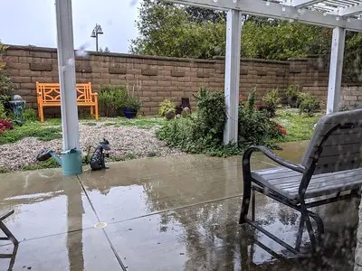 a-wet-courtyard-with-well-maintained-plants