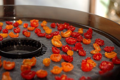 berries-that-are-currently-dried-out